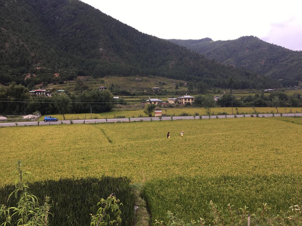 Ama'S Village Lodge Paro Zewnętrze zdjęcie